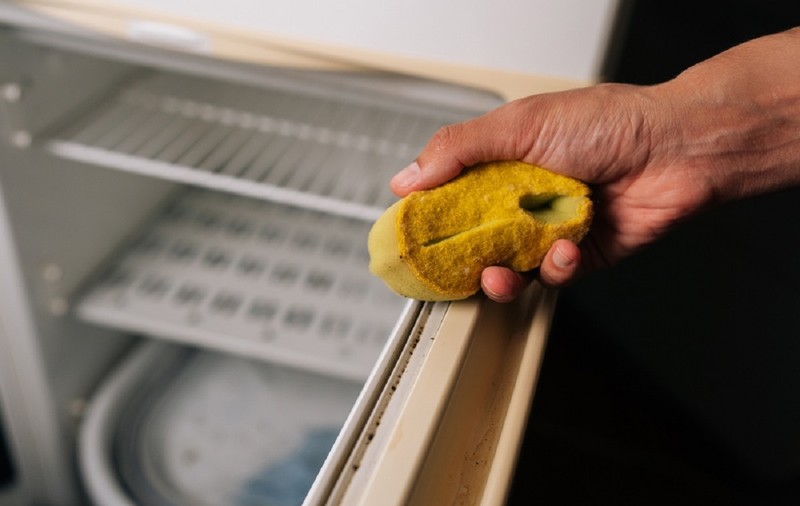 Cum să cureți corect garnitura frigiderului și cât de des – ce se întâmplă dacă nu o cureți