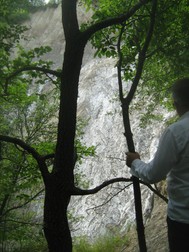 Arhiva foto