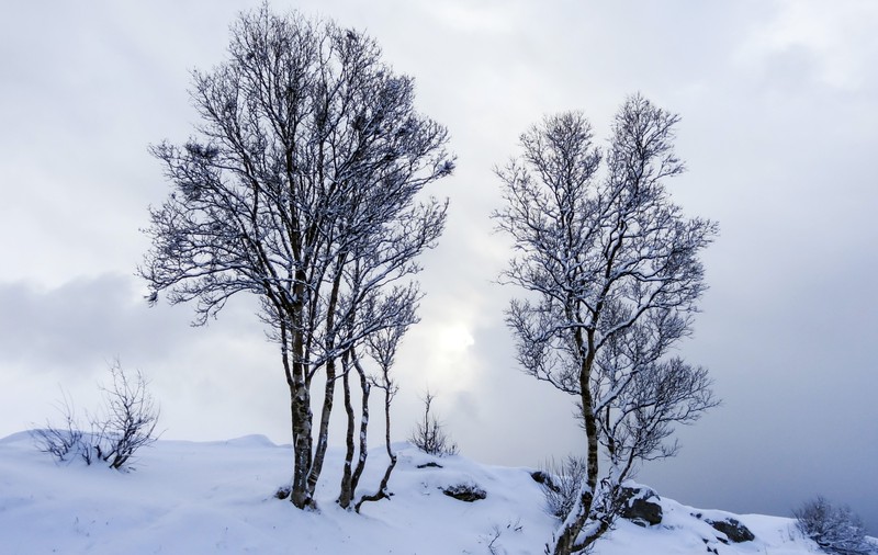COD GALBEN de NINSORI și VÂNT PUTERNIC, de 1 DECEMBRIE! Iată care sunt zonele afectate