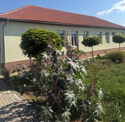Arhiva foto