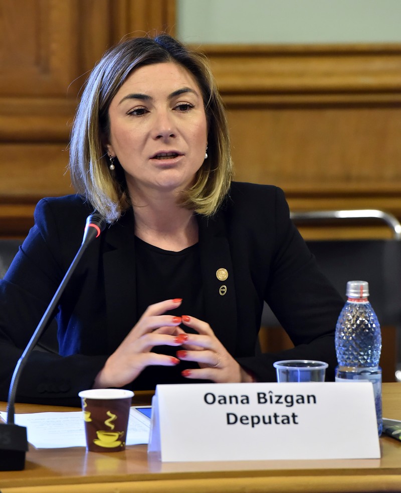 Deputata Oana Bîzgan, inițiatoarea legii. Foto: Agerpres
