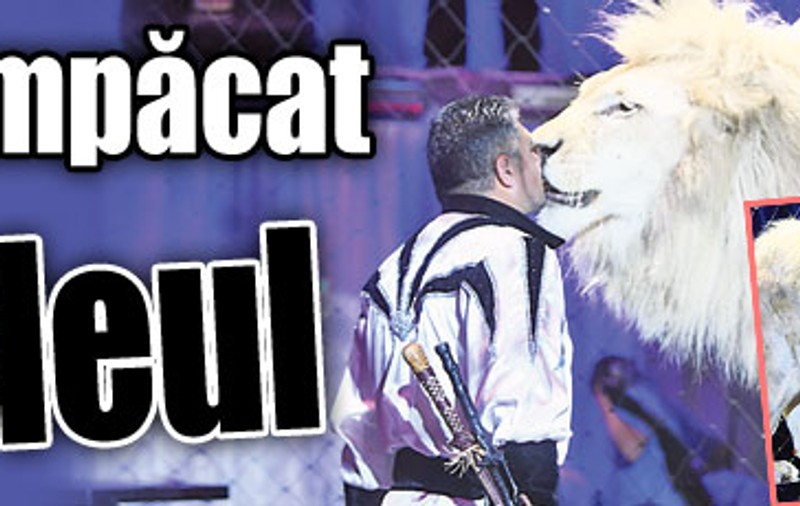 S-a împăcat cu leul
