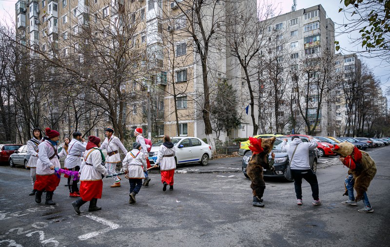 La Dărmănești, Bacău, jocul ursului datează de secole. Tradiția nu exclude boxele, inspirația de pe YouTube și mersul cu metroul în Capitală: “Urșii mei nu trebuie tunși, numai cheptănați și unși!”