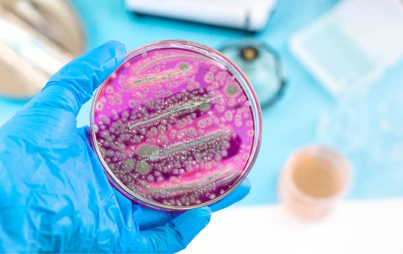 Bacteria „ucigașă” de la Spitalul de Copii Iași este greu de distrus. Medic infecționist: „Există tulpini de Pseudomonas rezistente la toate antibioticele”