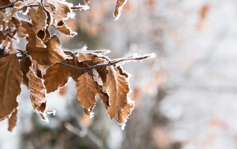 Minus 10 grade Celsius, joi dimineață, la Miercurea-Ciuc. Anunțul meteorologilor pentru următoarele zile