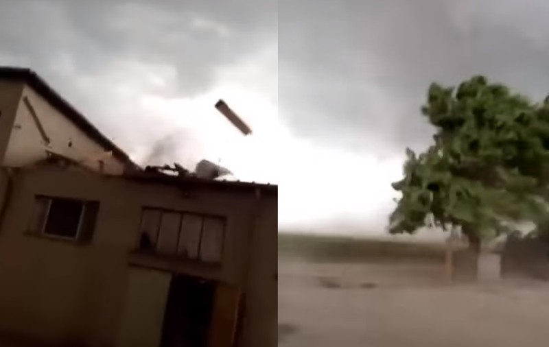 Furtună puternică în Brăila. Copaci doborâți de vânt și străzi inundate. A fost emis mesaj Ro-Alert. VIDEO