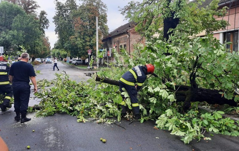 Copaci căzuți pe străzi și cabluri de curent rupte, după ce o furtună a măturat Oradea