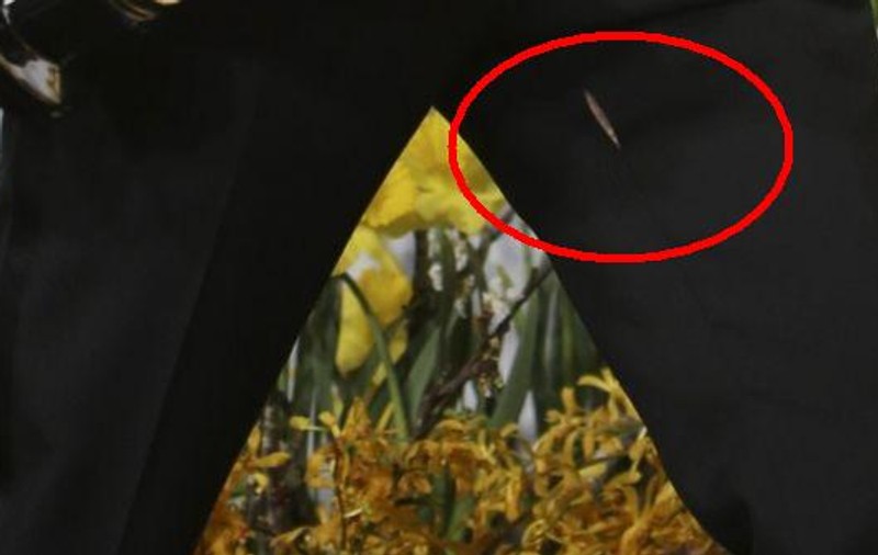 INCREDIBIL, câtă NEGLIJENŢĂ! UN ACTOR DE OSCAR A VENIT CU PANTALONII RUPŢI la PREMII!