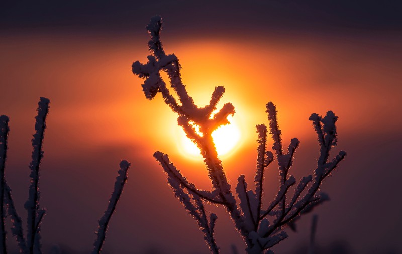 Cum va fi vremea în ianuarie 2025. Prognoza meteo pentru următoarele patru săptămâni 