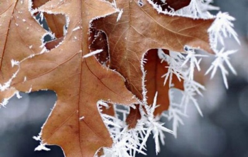 Temperaturi sub pragul de îngheţ: -5,1 grade, înregistrate în acestă dimineaţă. Vezi în ce judeţ