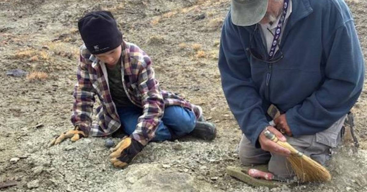 Touren Pope, în vârstă de unsprezece ani, in camasa in carouri, caciula neagra, asezat pe jos, ajuta la excavare alături de JP Cavigelli, specialist în colecții muzeale la Muzeul Geologic Tate de la Colegiul Casper din Wyoming, asezat in genunchi, cu un hanorac albastru inchis si o sapca pe cap, cu o maturica in mana, Fotografie de Craig Thomas, Biroul Local BLM Rock Springs
