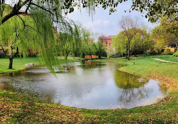 Parcul din cartierul rezidențial în care locuiește Robert Spinache