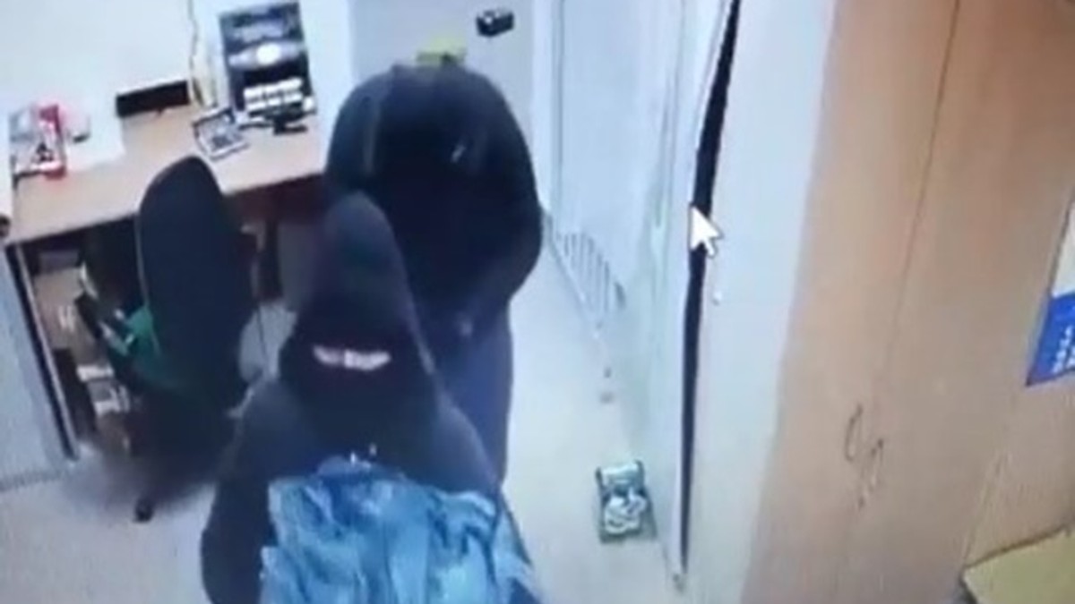 Hoți din Timiș prinși după ce polițiștii au tras cu focuri de armă