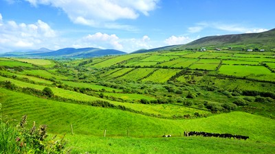 Hills,Of,Green,Rural,Fields,In,The,Countryside,Of,Ireland.