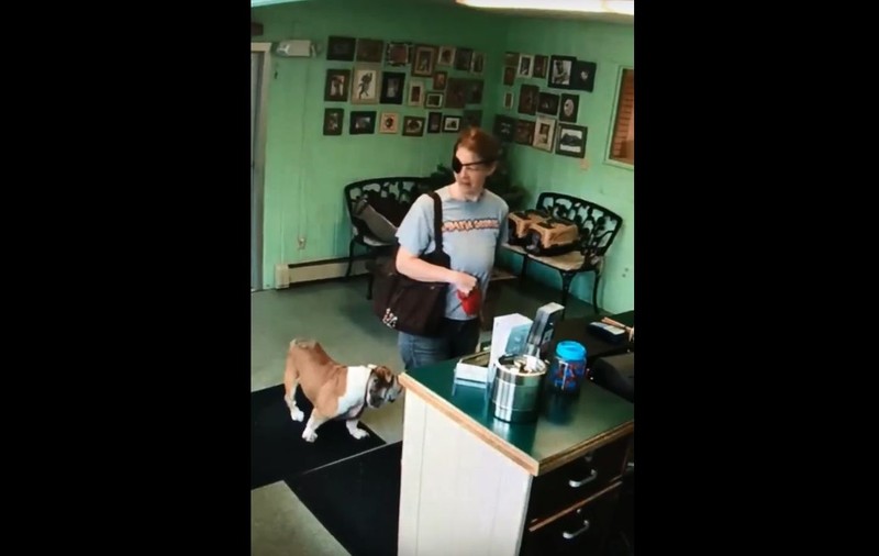 VIDEO | Momentul în care o femeie din SUA și-a abandonat câinele bolnav într-un coafor pentru animale