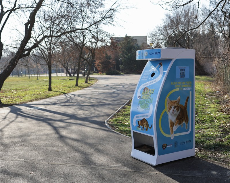 Donezi o sticlă de plastic și hrănești gratuit pisicile din parcul Tineretului din București. A fost montat primul dispozitiv inteligent pentru animăluțe