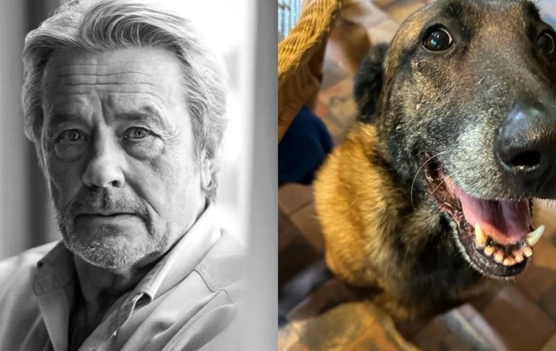 Familia lui Alain Delon a anunțat că va păstra câinele cu care actorul dorea să fie înmormântat. Loubo nu va fi eutanasiat
