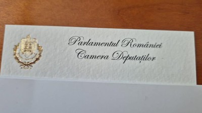 Carti de vizita foita de aur (1)