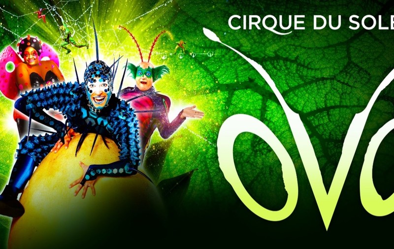 OVO – spectaculosul Cirque du Soleil – vine în București!