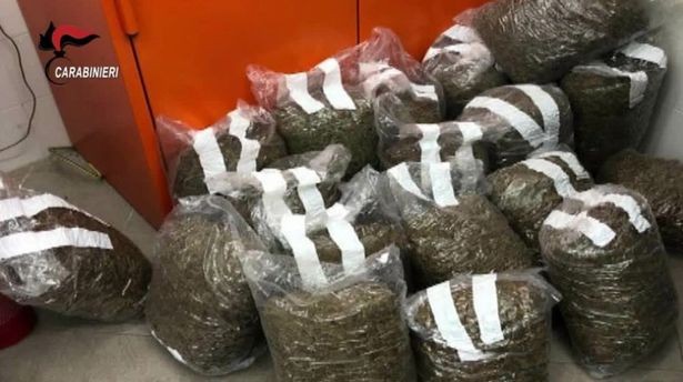 Poliția italiană a capturat mai multe transporturi de droguri ale mafiei Ndrangheta. Foto: Poliția italiană