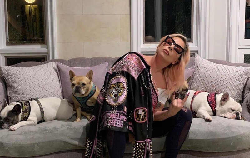 Unul dintre atacatorii bărbatului care plimba câinii cântăreței Lady Gaga a fost condamnat la 21 de ani de închisoare