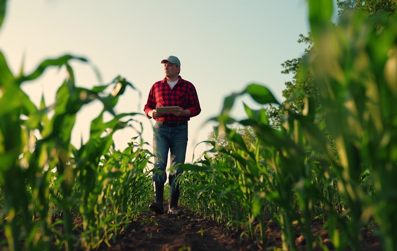 O nouă mână de ajutor de la PSD pentru agricultori: „Creditul Fermierului” ajunge la 1,4 miliarde lei plus bani europeni pentru cumpărarea de combine și tractoare