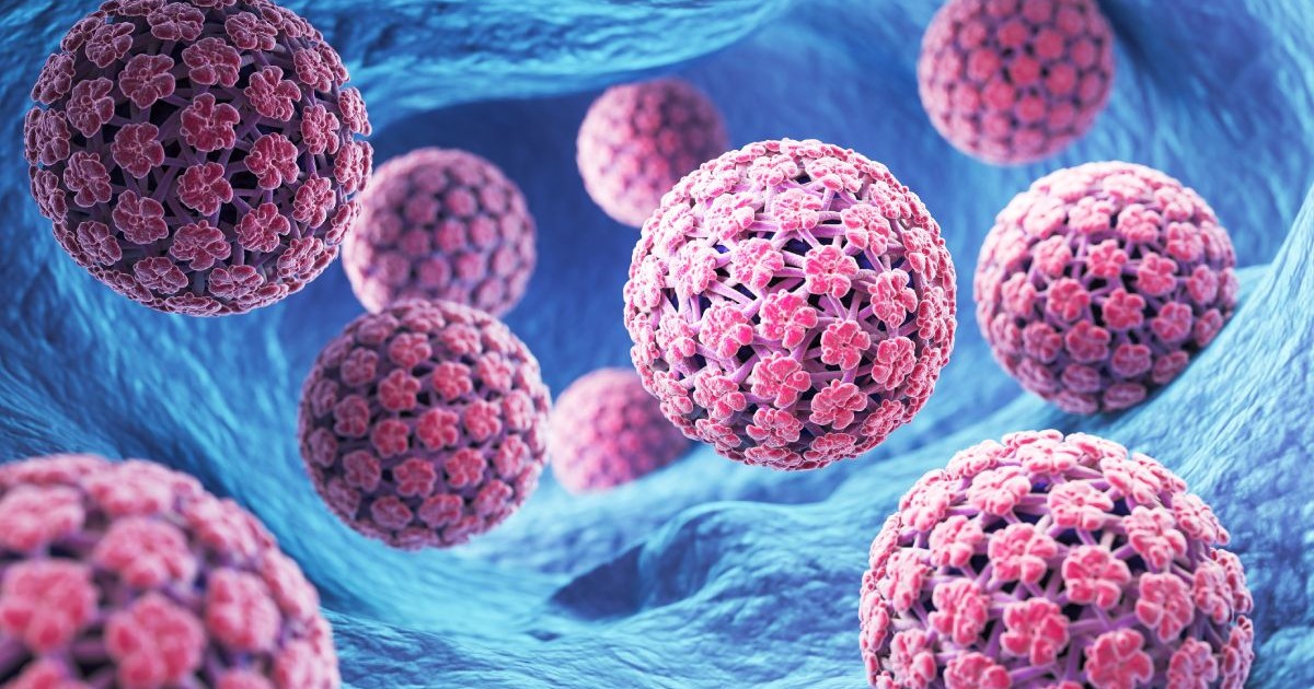 Ilustrație 3D digitală cu papilomavirusul uman - HPV, de culoare roșie, pe fundal albastru