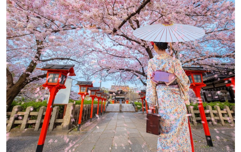 Cum să te pregătești pentru o excursie în Japonia în perioada cireșilor înfloriți?