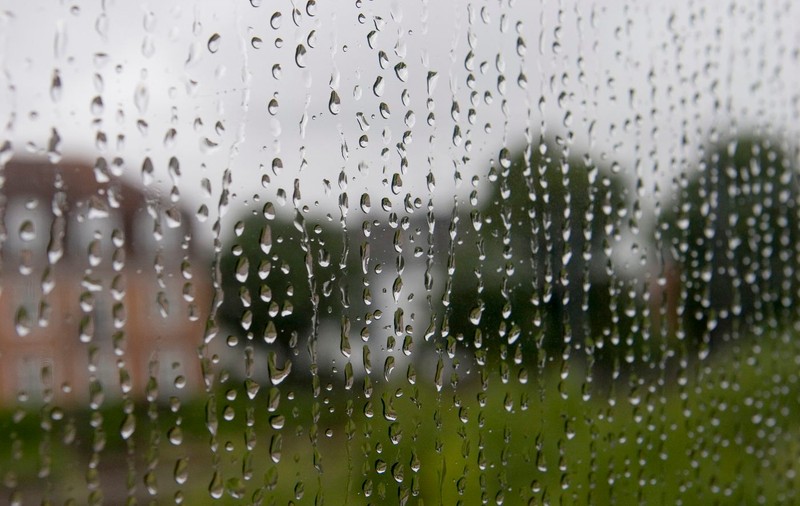 PROGNOZA METEO | Cum va fi VREMEA în WEEKEND