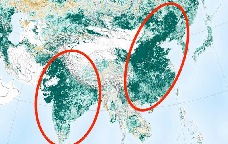 Concluzia uimitoare la care a ajuns NASA. Pământul este mai verde decât în urmă cu 20 de ani. China și India au investit masiv în replantarea pădurilor