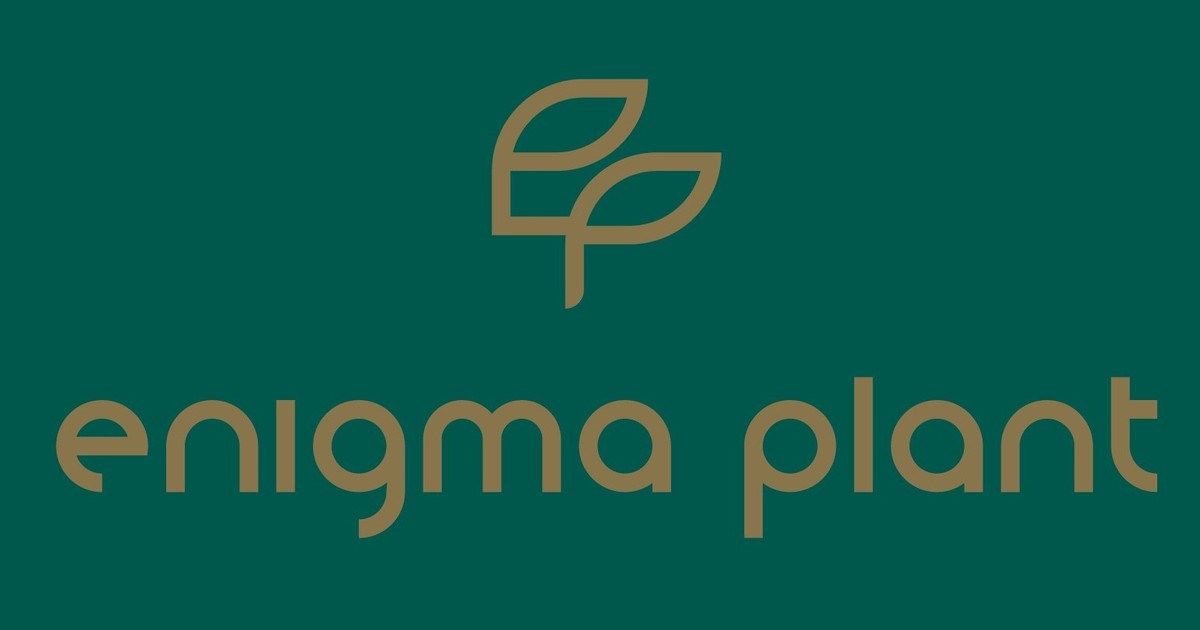 Logo enigma plat pe fundal verde inchis
