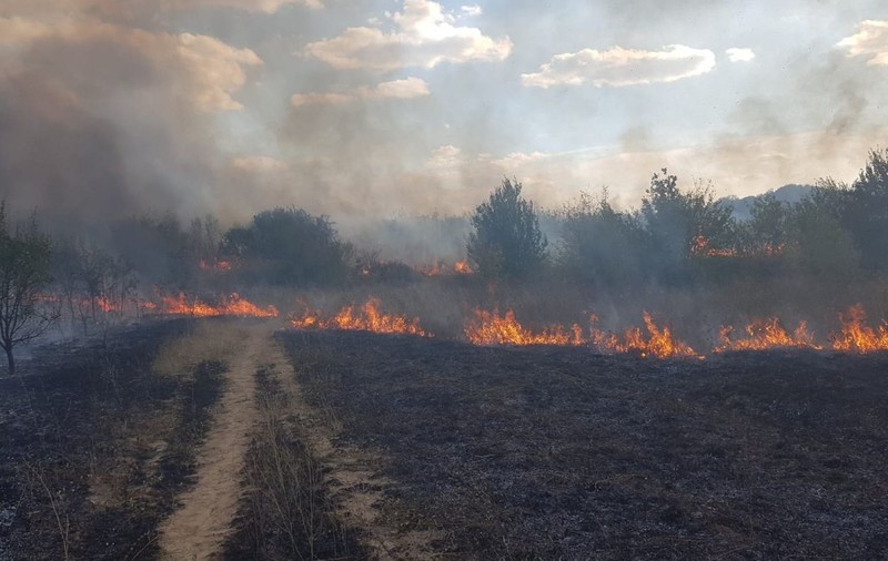 Incendiu la Hipodromul din parcul „Nicolae Romanescu” din Craiova. Au ars 10 hectare de vegetație