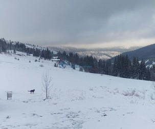 Arhiva foto