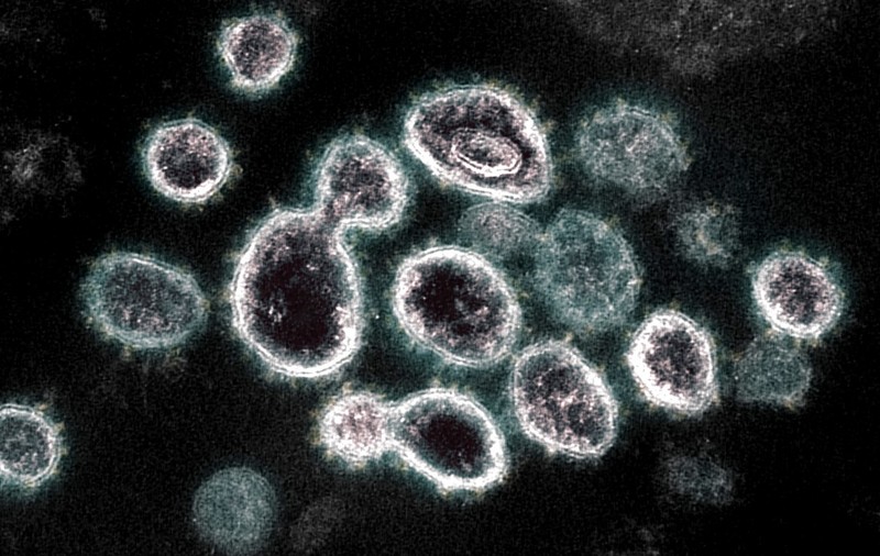 STUDIU | Asia de Est a mai trecut printr-o pandemie de coronavirus în urmă cu 20.000 de ani