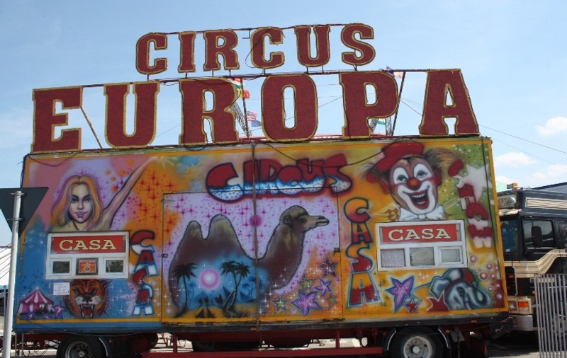 Super spectacole de circ în parcarea unui mall 