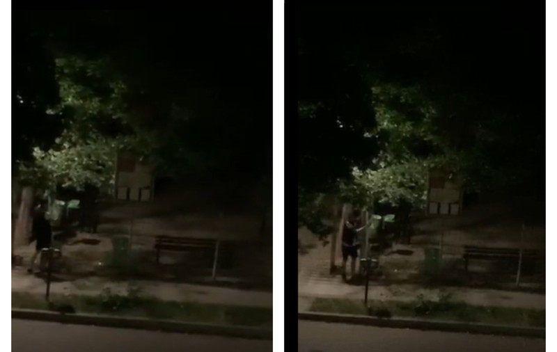 VIDEO |  Cruzime fără margini în Caracal. Doi tineri s-au ales cu dosar penal după ce au bătut un câine