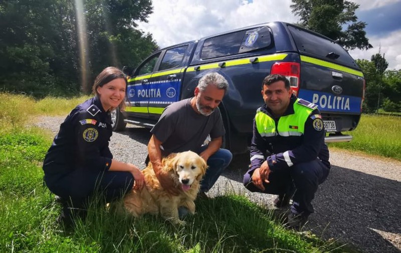 Un câine pierdut în urmă cu doi ani de o familie din Timişoara, găsit întâmplător de poliţişti, în Caraş-Severin