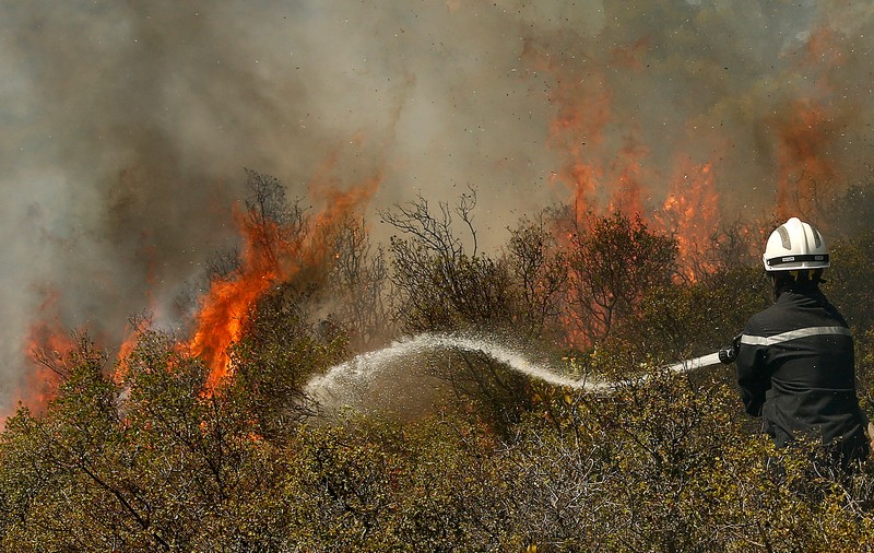 Incendii în Franța, din cauza caniculei. Mii de hectare de culturi şi vegetaţie au fost distruse