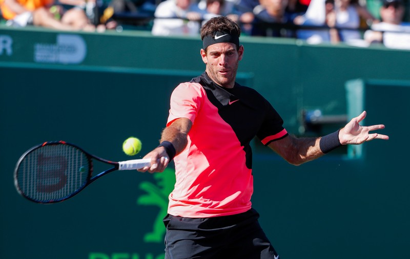 Juan Martin Del Potro, treisprezece victorii consecutive. Argentinianul e în optimi la Miami