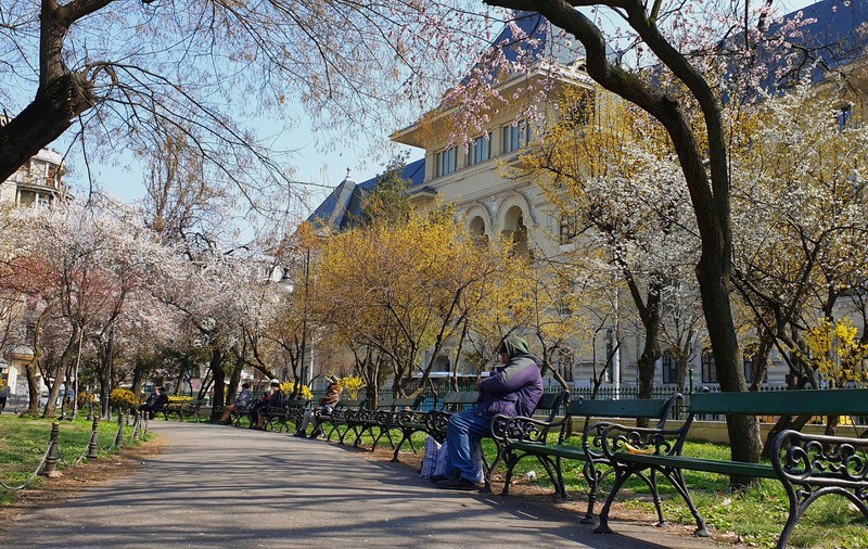 Prognoza meteo pentru martie. Cum va fi vremea în prima lună de primăvară