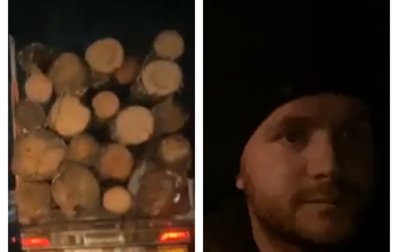 VIDEO | Activistul de mediu Daniel Bodnar, atacat în timp ce urmărea hoții de lemne. Reacția ministrului de interne