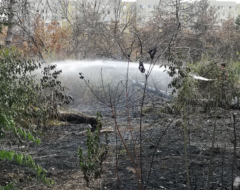 Incendiu de vegetaţie în parcul IOR din Bucureşti. Pompierii intervin cu trei autospeciale