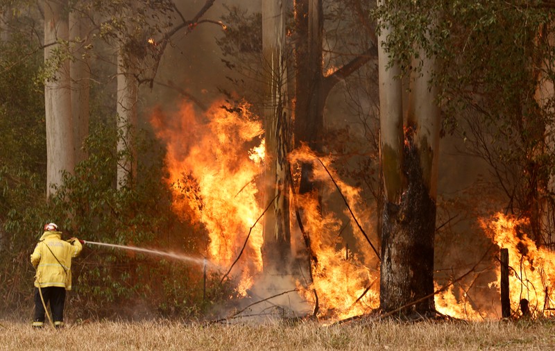 Incendiile de vegetație au anulat Raliul Australiei. ”Gândurile noastre se îndreaptă către oameni”