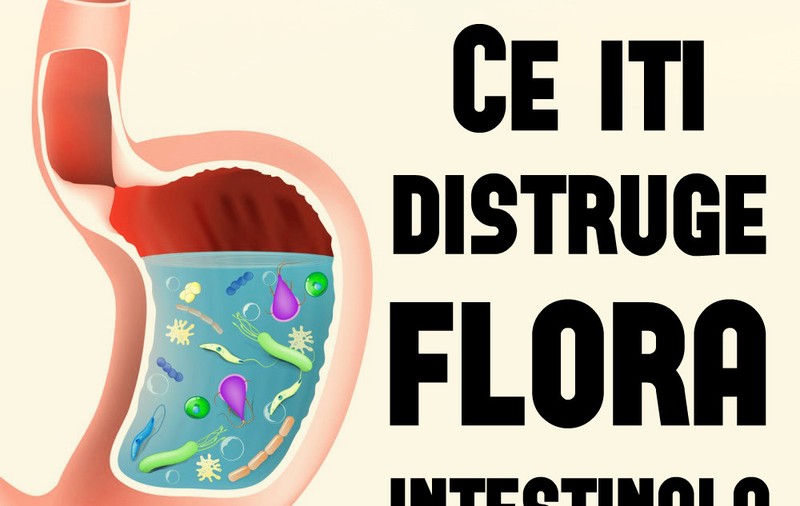 ALIMENTE CARE ÎȚI DISTRUG FLORA INTESTINALĂ