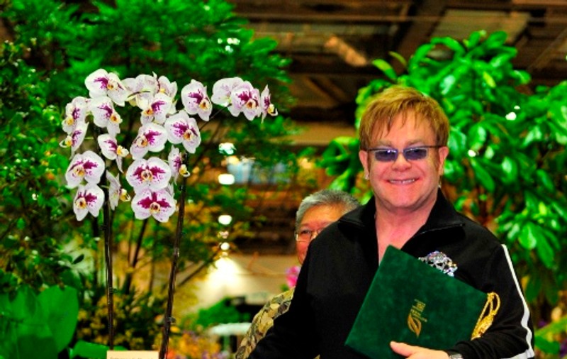 Elton John are o orhidee care îi poartă numele. Vezi câte specii sunt numite după el!