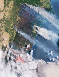 Incendiile din Australia văzute din satelit pe 31 decembrie FOTO: ESA
