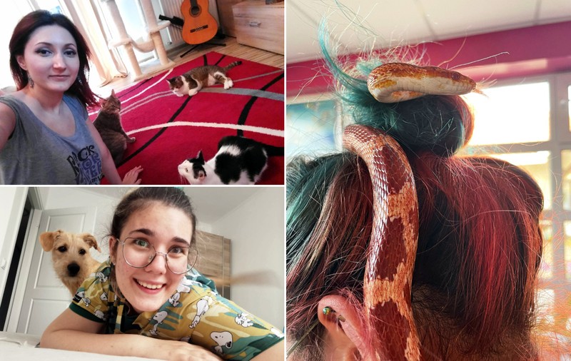 Ce înseamnă să fii pet sitter în România. Oameni care practică meseria: „Mulți au încă nevoie să înțeleagă responsabilitatea unui animal de companie”