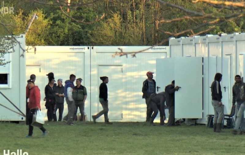 Peste 100 de sezonieri români s-au revoltat împotriva patronului unei ferme de sparanghel din Germania. Autoritățile au găsit nereguli