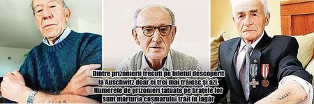 Arhiva foto