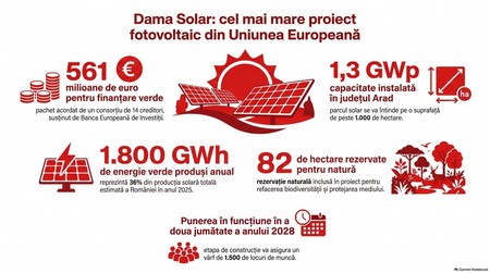 Proiectul fotovoltaic Dama Solar. Infografic realizat cu ajutorul Inteligenței Artificiale